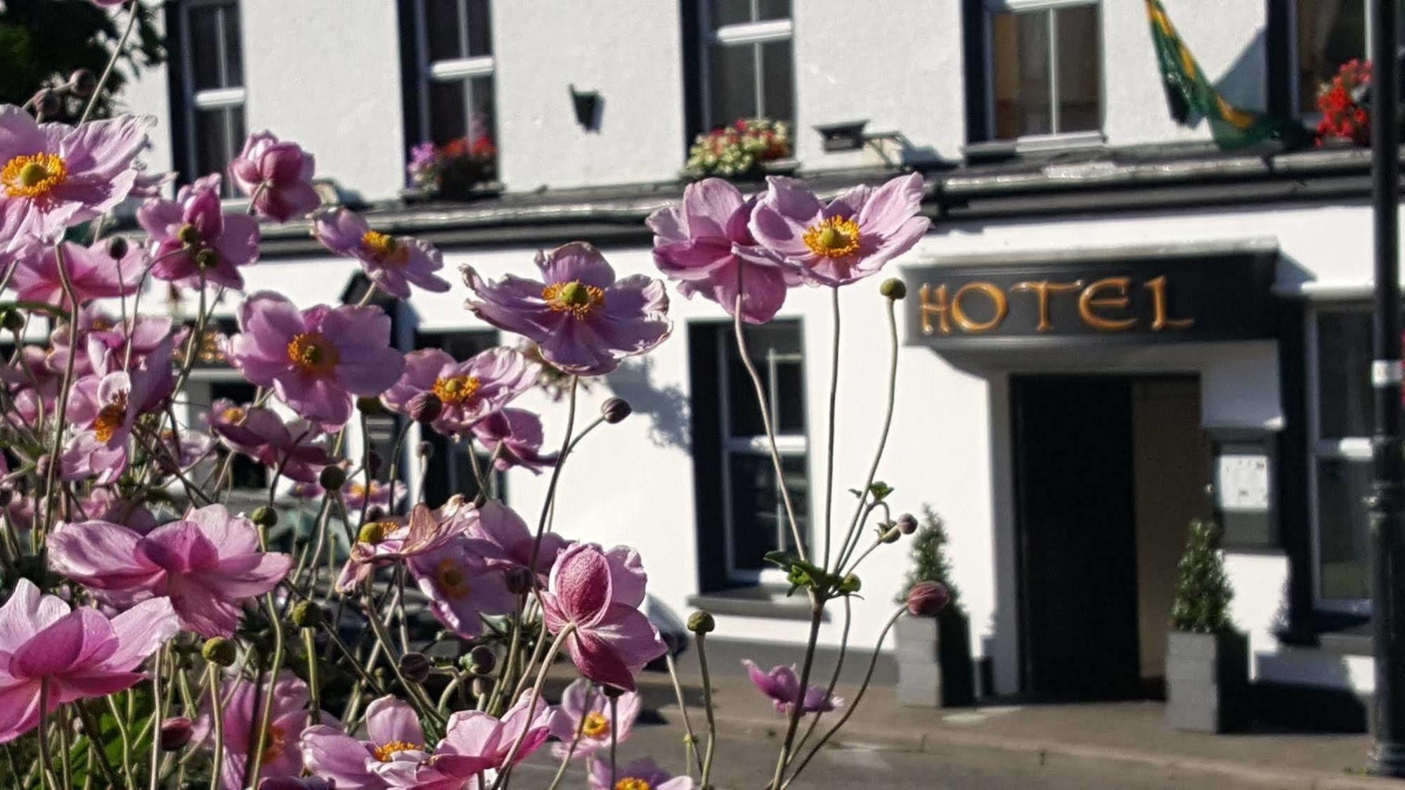Nesbitt Arms Boutique Hotel Ardara Esterno foto